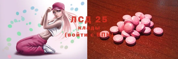 молекула духа Тайга