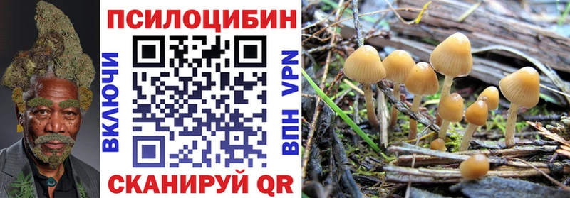 Галлюциногенные грибы прущие грибы  Хадыженск 